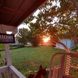 Meet your Posher, Lucy